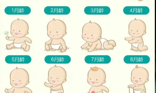婴儿吃头孢后一直拉粘液便-宝宝吃头孢拉红屎-专业宝宝吃头孢拉稀正常吗平台-婴儿吃了头孢后拉便血